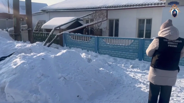 В Берёзовке 10-летняя девочка задохнулась в сугробе: Что известно о трагедии В Берёзовке 10-летняя девочка задохнулась в сугробе: Что известно о трагедии