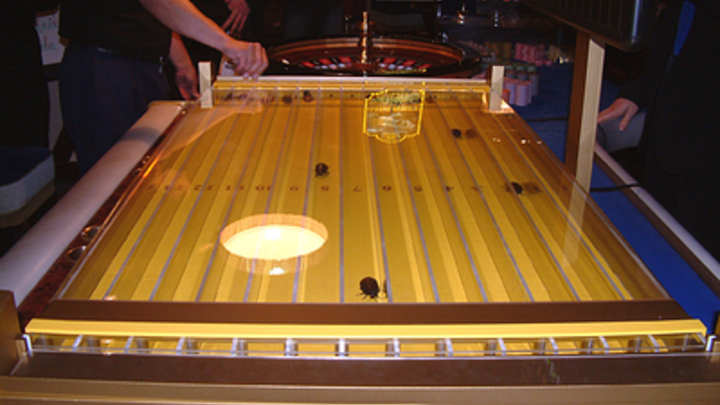 Учёные назвали историческую родину тараканов