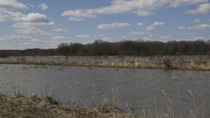 В Краснодарском крае ожидаются паводки из-за сильных дождей - ученые