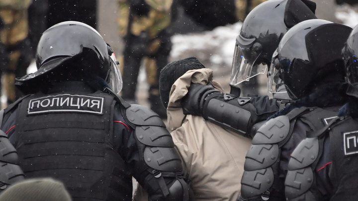 Истерика в центре Москвы. Карнаухов сообщил о борьбе мисс Пигги