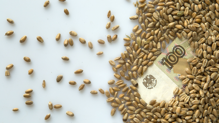 РИА Новости: Зерновая сделка под эгидой ООН зашла в тупик. Что скажет Россия