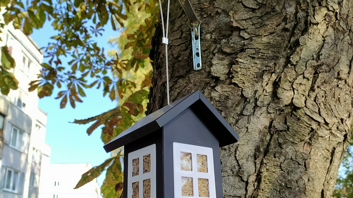 Власти Кубани обещают решить проблему дольщиков за два года. Прокурор считает, что времени мало