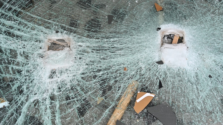 Директор ветклиники в Петербурге с ломом напал на машину обидчика