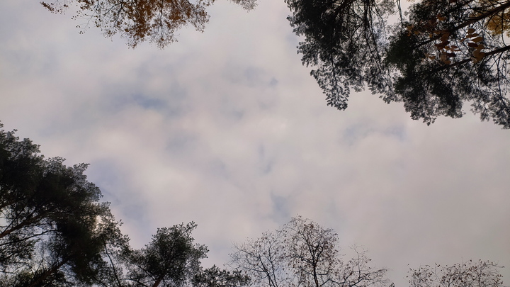 Увековечить память: В Петербурге может появиться сквер имени Геннадия Селезнёва