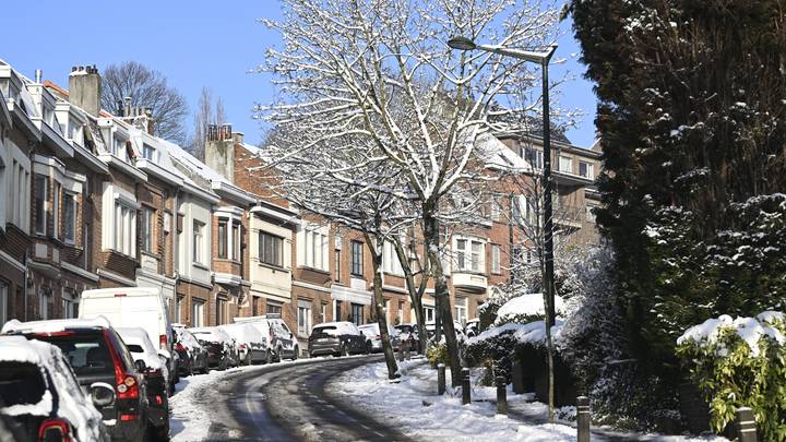 Цветущий сад вянет. Боррель делает вид, что ничего не происходит