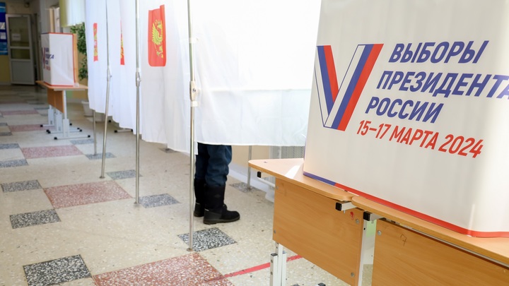 Мужчина в образе Пушкина пришёл на выборы в Большеболдинском округе и прочёл стихи