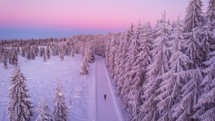 Дождь смыл всю зиму: Вильфанд сказал, что будет дальше