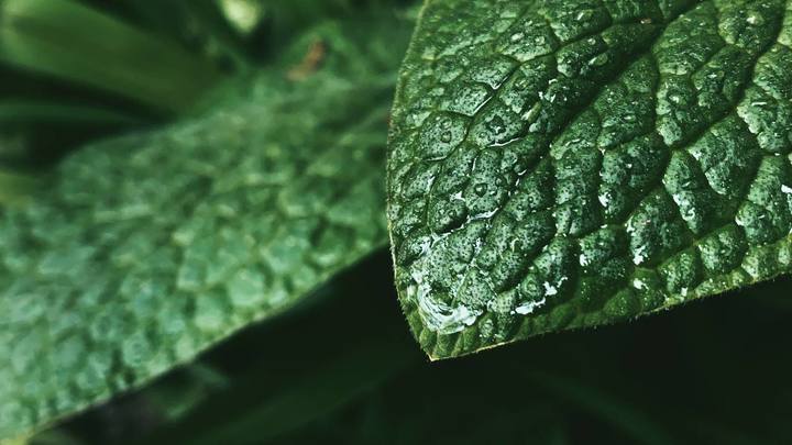 В Самарской области потеплеет до +25