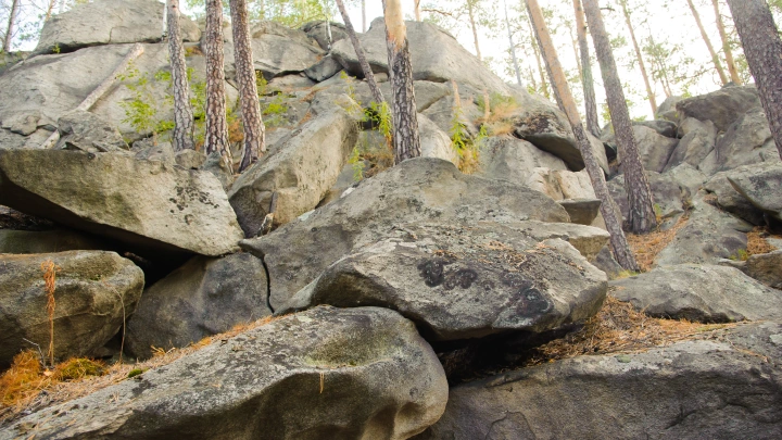 Усольцевы могут быть в одной из пещер? Спелеолог оценил версию