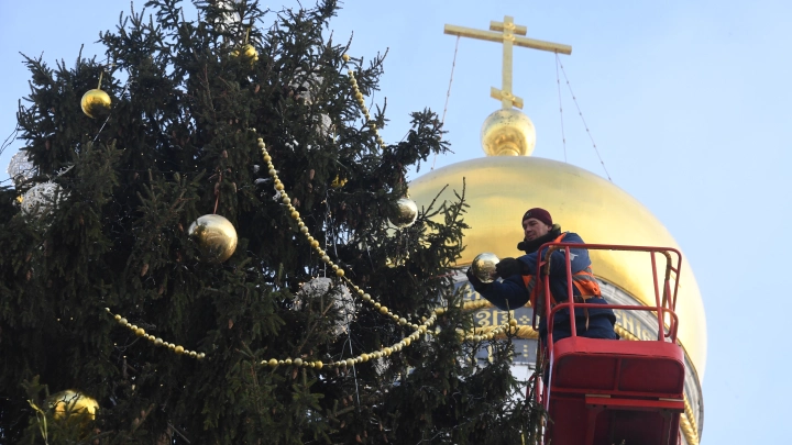 Кастинг для ёлок: в Подмосковье выбирали главный символ Нового года