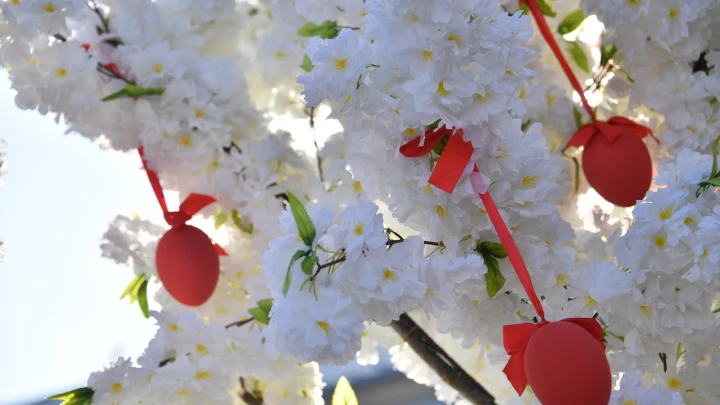 Швырнули икону, сорвали украшения: В Санкт-Петербурге двое мужчин отменили Пасху