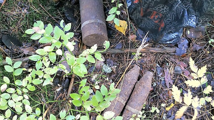 Семь снарядов и три взрывателя обнаружил житель деревни в Клину