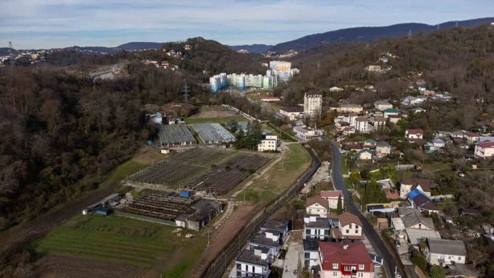 В Сочи построят агропромышленный технопарк для развития субтропических культур
