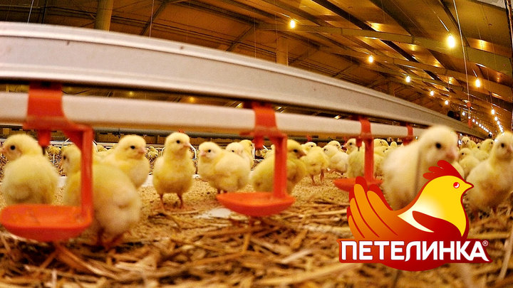Что мы едим? «Петелинку» признали опасной для здоровья