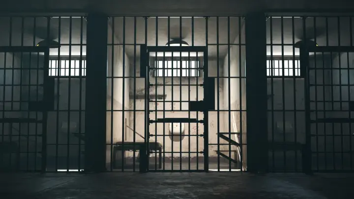 Блогер Олеся Рожкова арестована за букет с АУЕ*