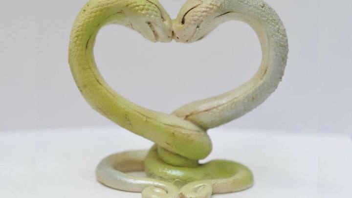 Народные приметы на Змеиный праздник 12 июня: в лес не ходить, а вот бобовые – сажать