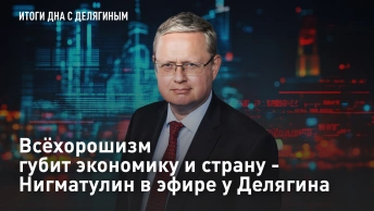 Всёхорошизм губит экономику и страну - Нигматулин в эфире у Делягина