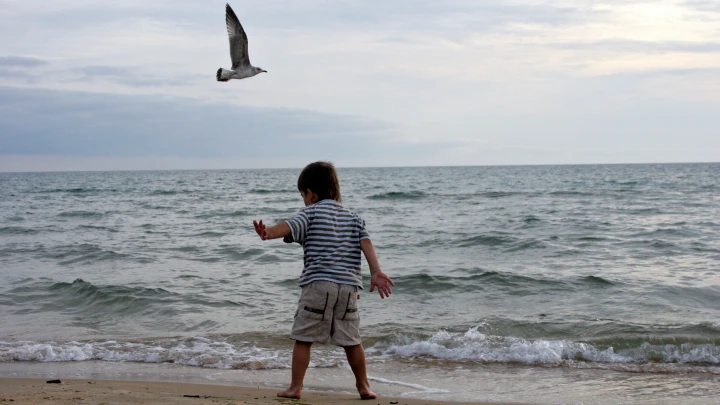 Пляжи под запретом, но туристам всё равно: Что происходит в Анапе