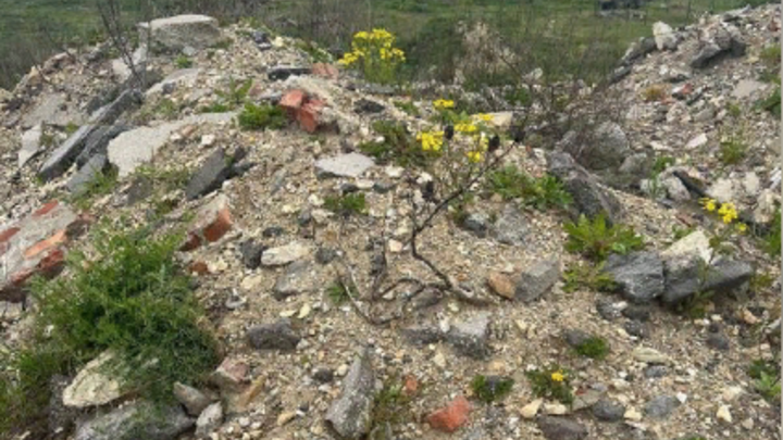 Свалку под Анапой могут рекультивировать до конца 2024 года