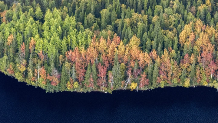 Из столицы в глубинку: Что шокировало москвичей больше всего