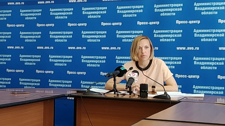 Директор департамента ЖКХ Елена Семенова: Проекты общественных пространств не обсуждают с жителями