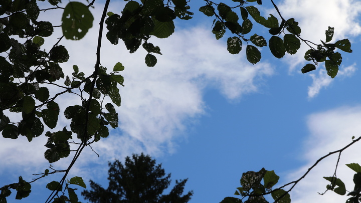 Погодная аномалия накроет Волгоградскую область: Жителей просят оставаться дома