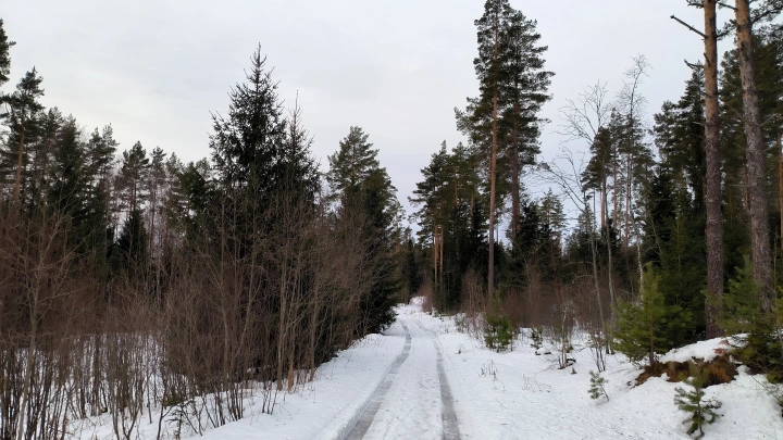 Зима Шрёдингера: Морозы вернутся в Москву в феврале. Но есть нюанс