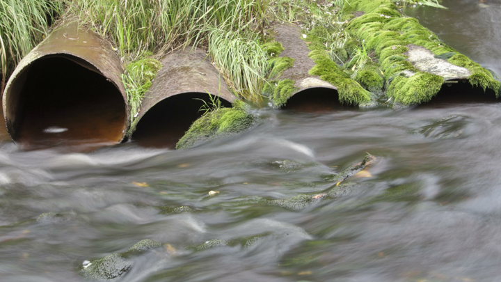 В Самарской области на решение экологических вопросов выделят более 1,5 миллиардов рублей