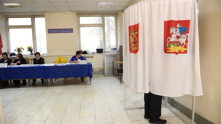 Явка на выборах в Подмосковье на 18:00 достигла 18,85%