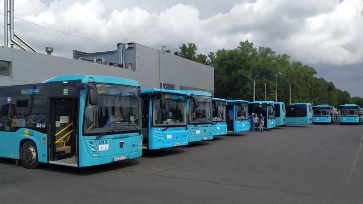 Житель Казахстана нашел под Алматы кладбище из вполне рабочих автобусов