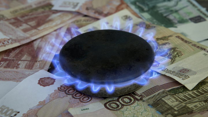 Паника в ФРГ: Если Россия отключит газ — 40% нечем заместить, даже если замёрзнуть в своих домах