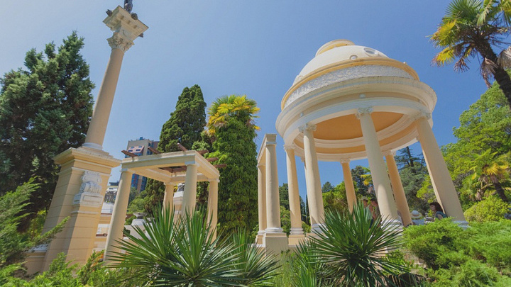 В Год экологии в Сочи высадят 50 тысяч деревьев и кустарников