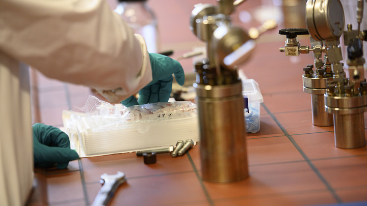 Учёные добыли революционное омолаживающее средство: Помог обычный продукт