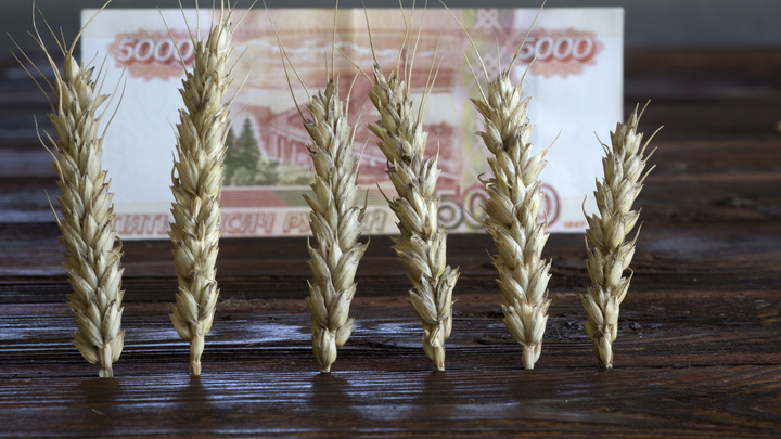 Три сценария новой зерновой сделки. России не понравится ни один
