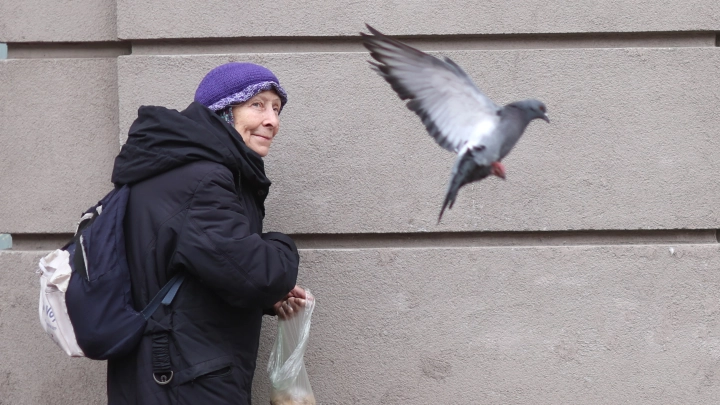 Ирина Роднина велела старикам самим заботиться о пенсии. А о своих доходах сказать забыла. Исправляем