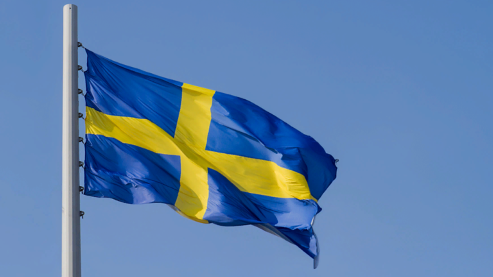 Швеция усугубляет военную истерию: Власти готовы направить войска к границе с Россией