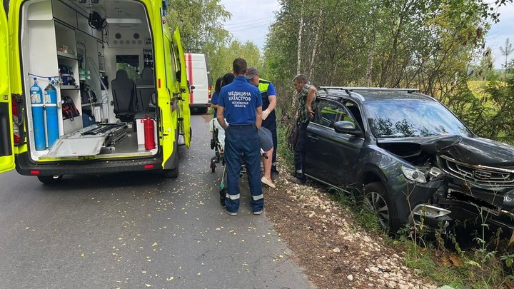Под Богородском местные жители попал в аварию из-за домашнего кота