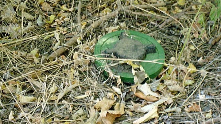 Брат украинского замминистра лишился глаза, подорвавшись на мине ВСУ