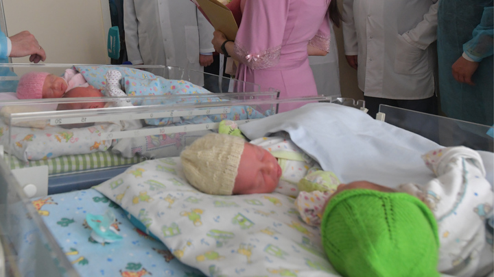Во Владимирской области за полгода родилась 31 двойня и одна Береза