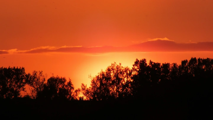 Какой будет погода в выходные: Прогноз Гидрометцентра России