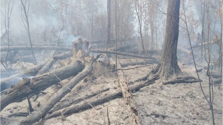 В Ивановской области лесной пожар тушили сутки