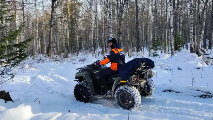 Поисковик Вульферт назвала причину пропажи семьи Усольцевых