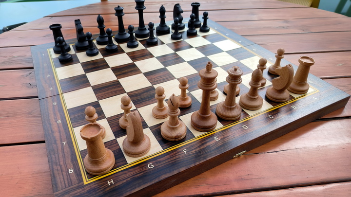 Шахматистка Костенюк попыталась оправдать своё предательство. Получилось нелепо