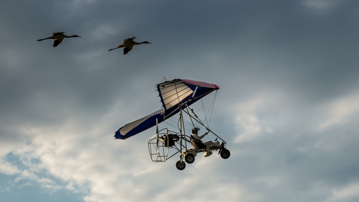 Пилот сам завалил дельтаплан, чтобы не врезаться в людей на фестивале воздухоплавания в Прикамье
