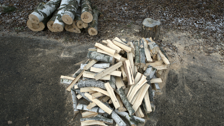 Делягин обозначил новые высоты европейской цивилизации. Получилось смешно