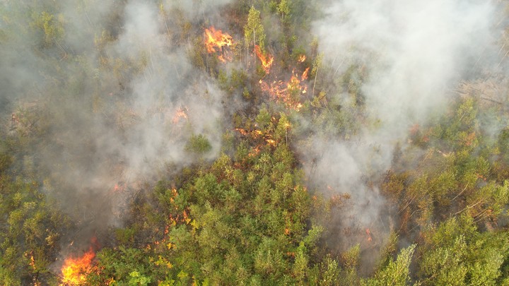 Time приглашают в Россию, потому что ад будет по всему миру
