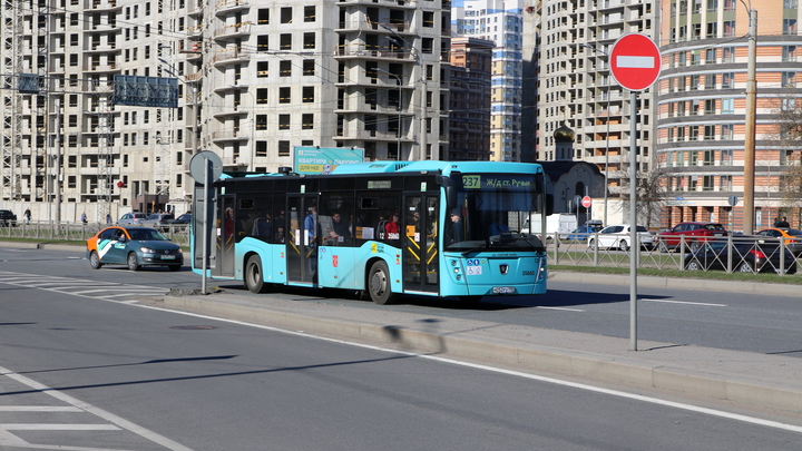 Маршруты наземного общественного транспорта в день города в Санкт-Петербурге: все изменения