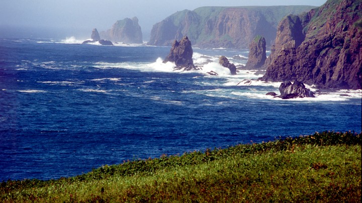 Уже нельзя: Захарова ответила на главный японский вопрос