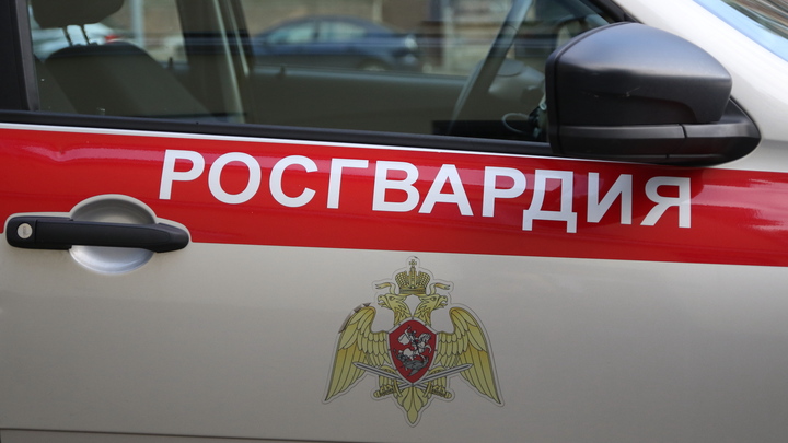 КАМАЗ с бойцами Росгвардии попал в аварию в Воронежской области, есть пострадавшие