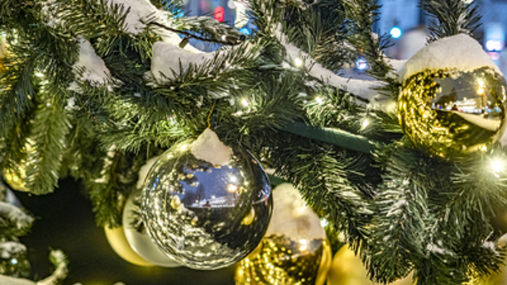 В Краснодаре искусственные ёлки за год подорожали на 15%
